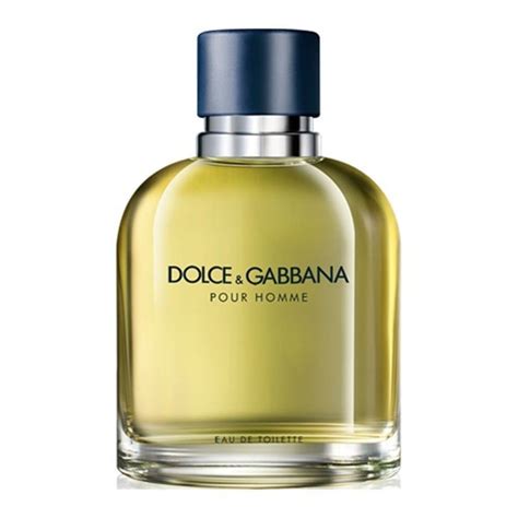 dolce gabbana pour homme fragrantica|More.